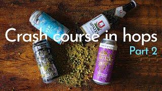 A crash course in HOPS part 2 (New World)