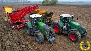 Grimme EVO 290 Airsep | Brettmeister Kartoffel Überladewagen | Kartoffelernt | Fendt Vario 828, 939