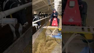 Incredible feed cutter #farm #cows #feed