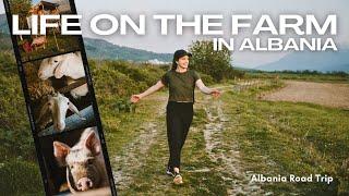 What Life on The Farm is like in Albania! Travel Vlog