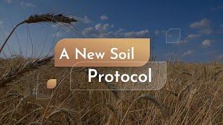 These minerals are wonderful for enhancing plant growth and the crops' nutritional value.