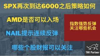 【美股分析】为何提前预判SPX本周再次到达6000？AMD是否可以入场？NAIL提示连续反弹！哪些个股财报可以关注？美债利率怎么看？点击下方网站链接获得更多投资信息！