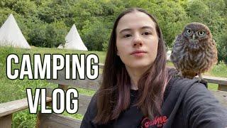 VLOG: searching for owls, befriending puppies and loosing subscribers