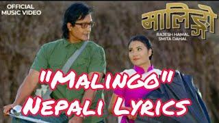 Malingo -- Rajan Raj Siwakoti & Smita Dahal -New Nepali Song.