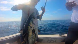 Tuna Fishing Madness | San Diego 9 Mile Bank Bluefin & Yellowfin on Freedom Boat Club August 2022