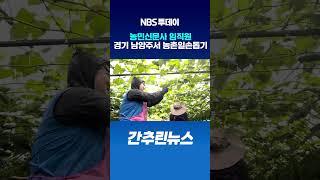 농민신문사 임직원, 경기 남양주서 농촌일손돕기 ‘구슬땀’