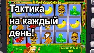 Играю так ежедневно! Как играть и выиграть в Crazy Monkey в Казино Вулкан Старс?