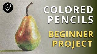 COLOURED PENCILS - Lesson & Project for Beginners