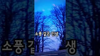 #산천  초목 #shorts