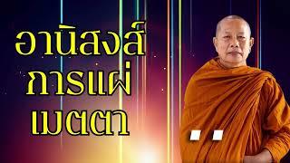 อานิสงส์การแผ่เมตตา..ธรรมะคลายทุกข์ พระมหาบุญช่วย ปัญญาวชิโร