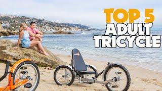 Best Picks of 2023: Adult Tricycle!