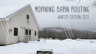 Winter Morning BARN ROUTINE & Feeding Horses | Another Day in the Life + Barn Chores EQUESTRIAN VLOG