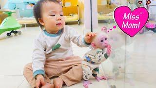 Cute, Nguyen takes care of baby monkey Poki when mom is away