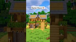 Minecraft Survival Starter House  #minecraft