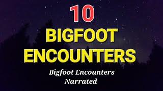 10 BIGFOOT ENCOUNTERS - Popular Bigfoot Encounters Narrated Stories - Volume 1