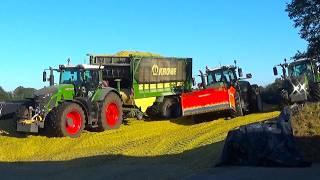 Siemerink chopping corn