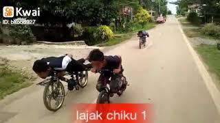 Lajak chiku 1