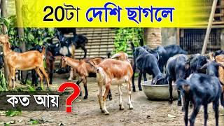 20টা Black Bengal ছাগলে কত আয় ? | দেশি ছাগলের খামার | Goat Farming in West Bengal | Goat Farm