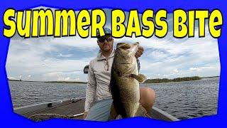 Finding bass fish during the summer. Headwaters Lake Bass Fishing Report.