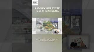 Подсолнухи за 13 млн.руб. закупила Белгородская область для стенда на ПМЭФ #россия #белгород #пмэф