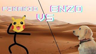 Pikakid vs Enzo #shorts #dogs #funny #viral #Enzo theretriever