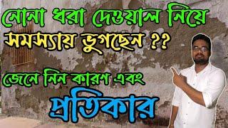 নোনা কী ?? কীভাবে এটি দূর করবেন ?? Wall Dampness Solution in Bengali || Efflorescence Test of Brick