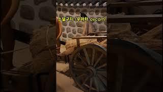 소달구지(우마차 oxcart) 황소,수레 / 천안박물관
