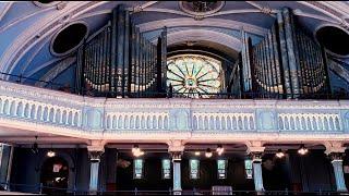 Lowell Cathedral With Shawnybee