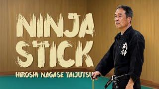 Ninja stick fighting - Bujinkan budo taijutsu