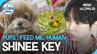 [Sub] Key & His Pup's Lunch Time at New House #KEY #SHINee #ILIVEALONE