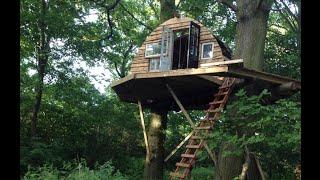 Building a Tree House in the Woodlands