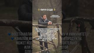 Канал ФАРУН-БУДДА: основные действия. #космоэнергетика #фарунбудда ТКГ: ToChegoNetSchool