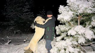 НА ЗАБРОШЕННЫЙ ХУТОР ПРИШЕЛ ОН. ЕГО НЕ ЖДАЛА ВСЯ СТРАНА. БОЛЬШОЙ ДИКИЙ КАБАН.