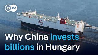 Behind China's massive bet on Hungary | DW Business