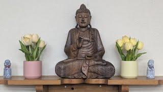 Monk Chat with Empty Cloud Monastics