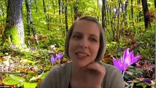 Online Science Labs Discussion