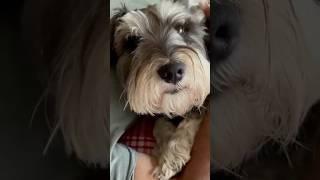 Franklin’s was told mommy’s on her way… watch his expression 