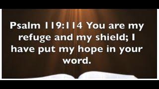 Psalm 119:114 - Lord You Are My Refuge and My Shield