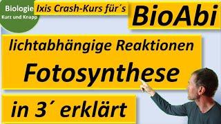Lichtabhängige Reaktionen der Fotosynthese in 3 Minuten erklärt - Biologie kurz und knapp - BioIxi