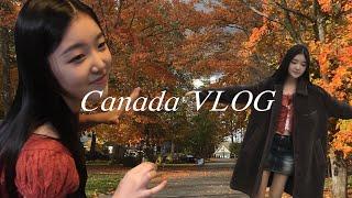 [VLOG] Trip to Canada after midterm as a student in NYC (ft. bonbon review)