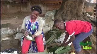 Produire le manioc et le transformer... Quelques idées