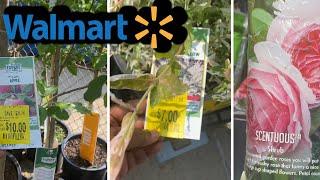 Walmart HUGE Clearance Plants Pt. 1 || $10 Fruit trees   | $4 Roses| #WalmartGardenCenter