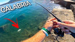 Light Shore Fishing in Calabria, Italy - 6 Different Fish Species: New Species & Personal Best!