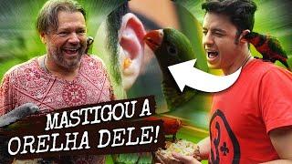 ENALDINHO FOI ATACADO PELAS AVES! | A CASA DOS BICHOS