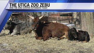 Utica Zoo Mourns Loss of Two Animals