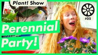 Perennial Party! PLANTPOP's Plant! Show Ep 5