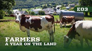 Farmers: A Year On The Land | E03 Beef | Full documentary