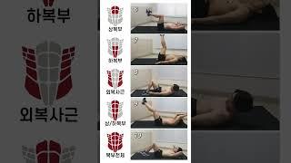 부위별 뱃살빼는 복근운동 모음 #Shorts