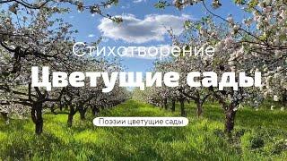 Стихотворение о весне "Цветущие сады". Читает автор.