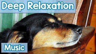 15 Hours of Deep Relaxation Music for Dogs! Music to Relax Your Dog Completely and Help with Sleep!